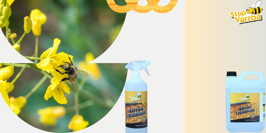 Anticipa la presenza della Varroa e proteggi efficacemente le nostre api