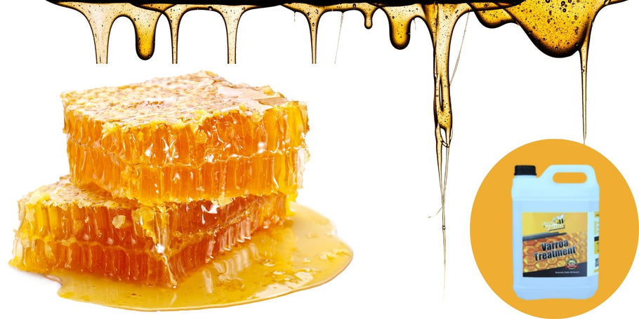 Apicoltura: Allarme per la diminuzione della produzione di miele!