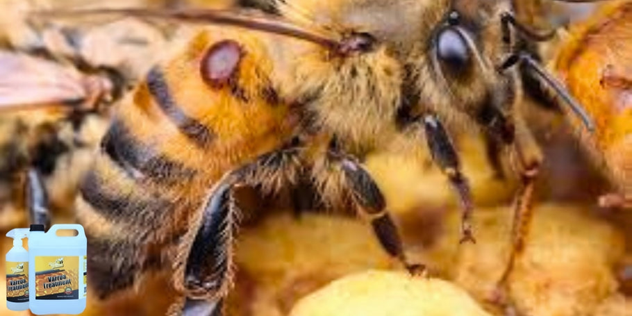 Innovazione nella protezione delle api: il prodotto anti-Varroa rivoluzionario