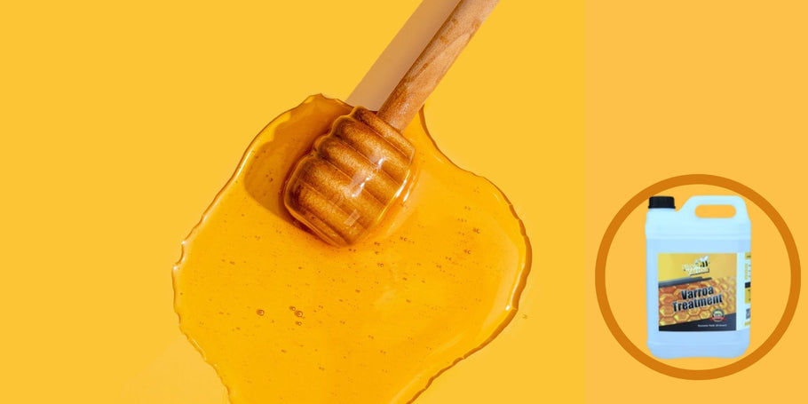 Il mistero del miele scomparso: diagnosticare i problemi di produzione del tuo miele