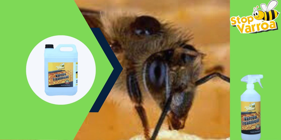 Rivoluzione anti-Varroa: la soluzione che salverà le vostre api