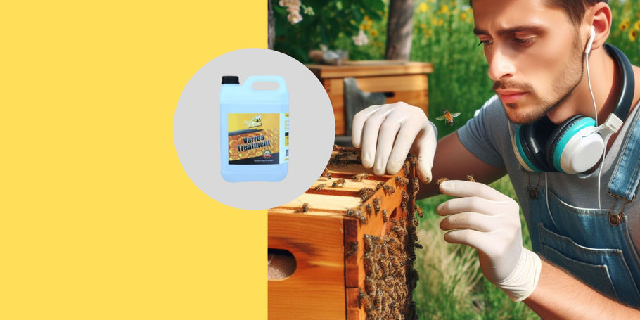 Varroa: come gestiscono questo parassita gli apicoltori professionisti?